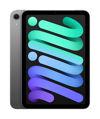 Apple iPad mini Wi-Fi 256GB - Space Grey